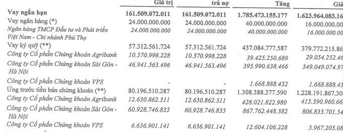 Licogi 14 (L14) “xoay” tiền đầu tư chứng khoán vào các cổ phiếu “nóng” DIG, CEO như thế nào?