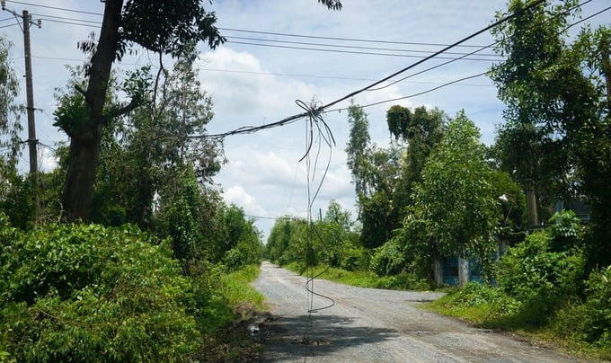 Dự án vẫn chưa có hạng mục nào được xây dựng. Ảnh: Báo Lao Động
