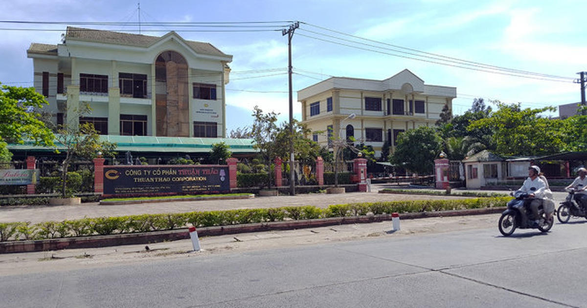 Vì sao Thuận Thảo của 'bông hồng vàng Phú Yên' lỗ chồng lỗ, cổ phiếu không bằng cốc trà đá?