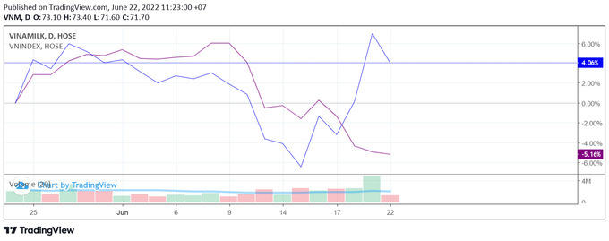 Giá cổ phiếu VNM trong tương quan với VNIndex trong 1 tháng. (VNM: Đường kẻ xanh, VNIndex: Đường kẻ tím). Nguồn: TradingView