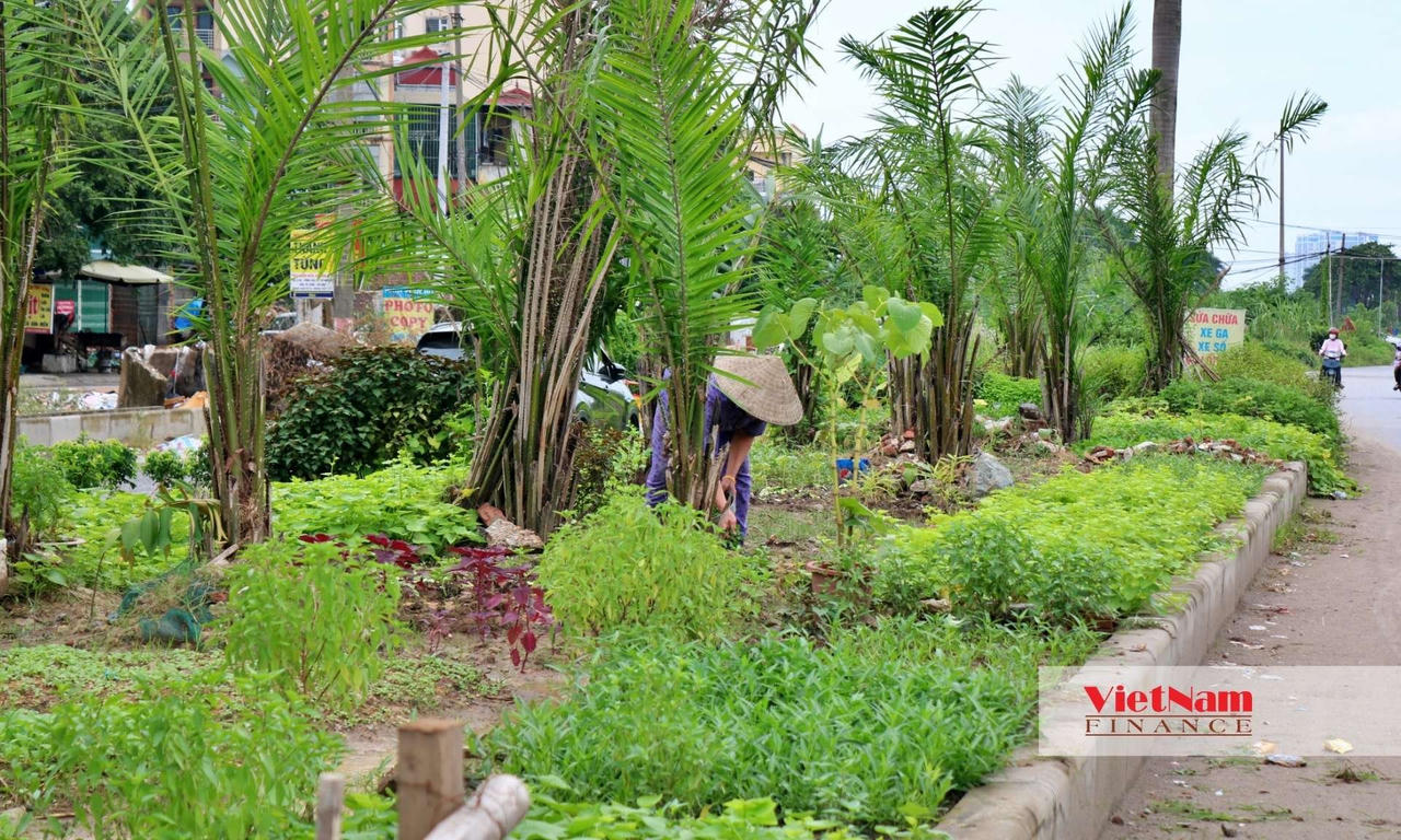 Toàn cảnh trục Tây Thăng Long kết nối 5 quận, huyện phía tây Hà Nội