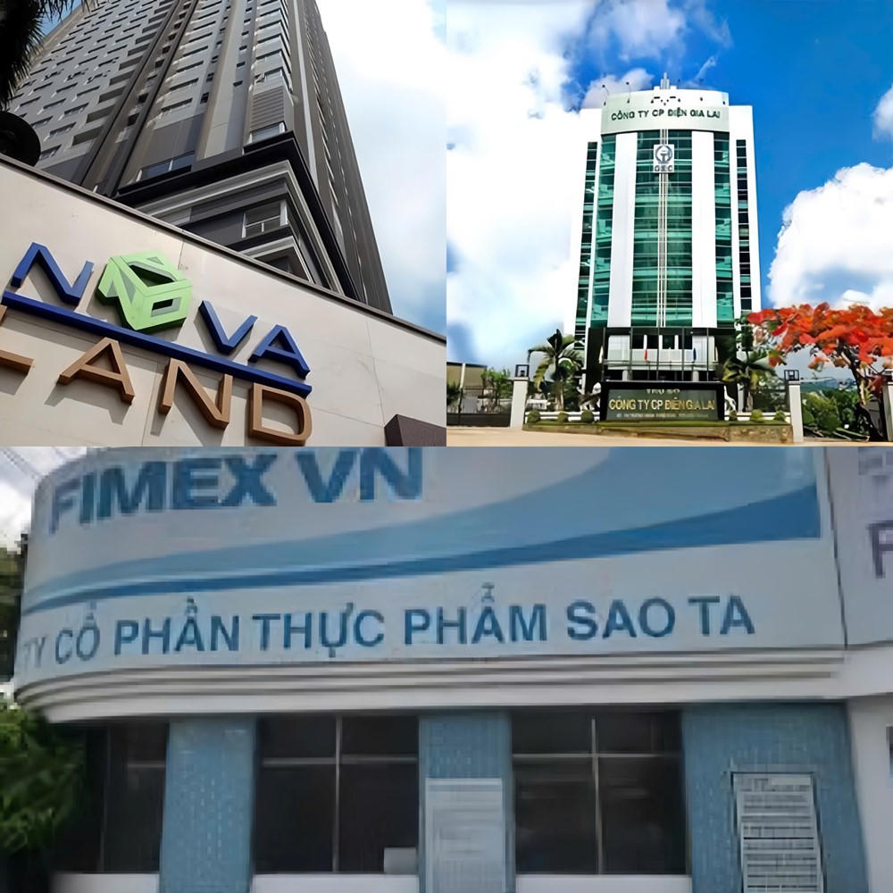 Điểm tin doanh nghiệp: Thực phẩm Sao Ta lãi 112 tỷ, Thủy điện Gia Lai tạm ứng cổ tức 95 tỷ đồng
