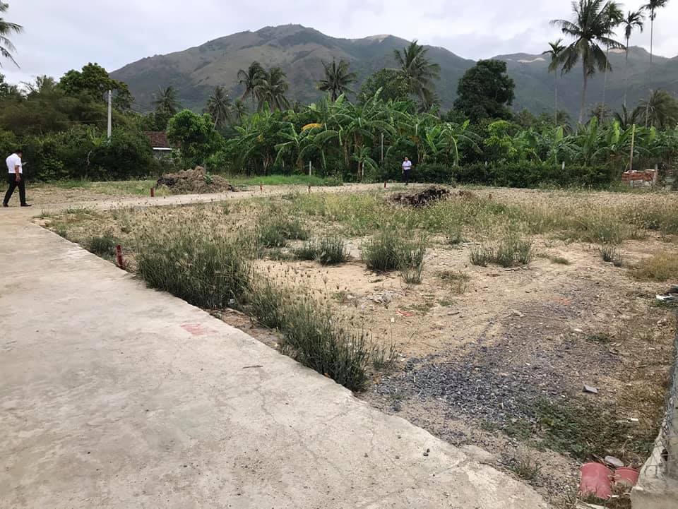 Hiện nhiều khu đất ở huyện Cam Lâm (Khánh Hòa) được chuyển đổi ồ ạt, phân lô, làm đường. (Ảnh nhân vật cung cấp) &nbsp;
