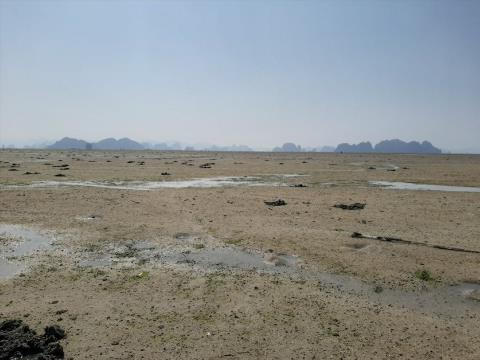 Đổ đất lấn vịnh Bái Tử Long: Khôi phục trước dự kiến