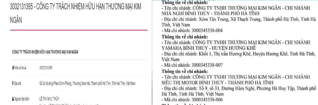 Kim Ngân là chủ chuỗi cửa hàng phân phối ba thương hiệu xe máy Honda, Yamaha, Piaggio trên địa bàn Hà Tĩnh... &nbsp;