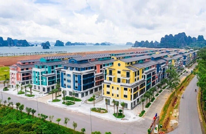 CEO Group: Quý II, doanh thu tăng gấp 3, lợi nhuận đảo chiều, lãi trước thuế 80 tỷ