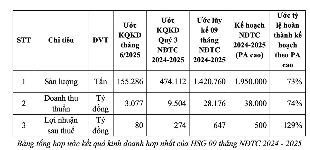 Không ảnh hưởng thuế quan Mỹ, Hoa Sen vượt kế hoạch lợi nhuận cả năm sau 9 tháng