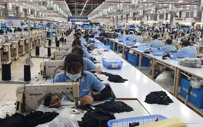 TCM: Doanh thu tháng 9 sụt giảm do yếu tố mùa vụ, kỳ vọng phục hồi vào cuối năm