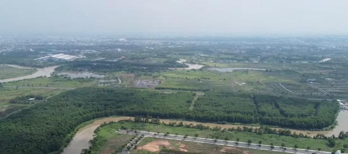 Tạm hoãn xuất cảnh Giám đốc Công ty Boss City