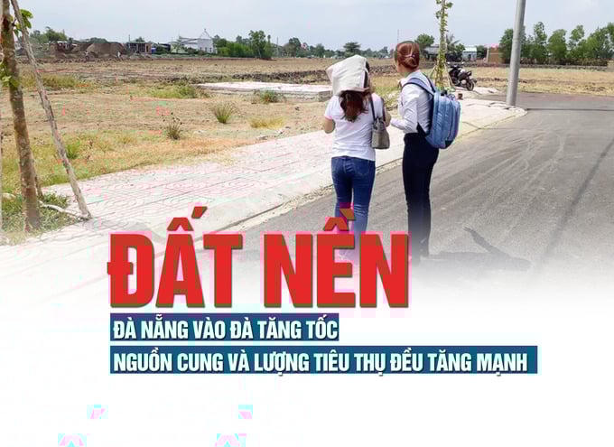 Đất nền Đà Nẵng vào đà tăng tốc: Nguồn cung và lượng tiêu thụ đều tăng mạnh