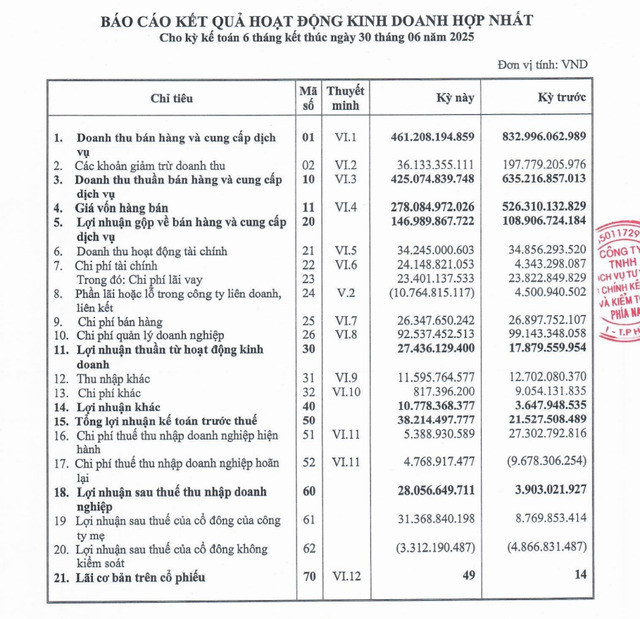 Một số chỉ tiêu tài chính tại báo cáo tài chính hợp nhất soát xét 6 tháng đầu năm 2025 của DIC Corp.