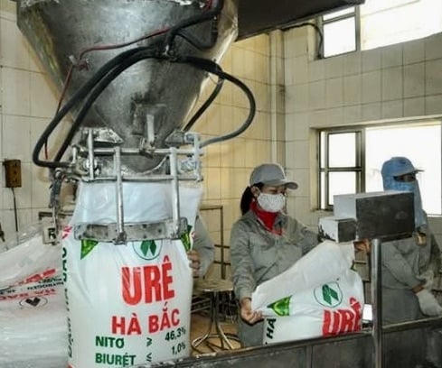 Đạm Hà Bắc lỗ gần 100 tỷ đồng, nợ phải trả gấp 8,5 lần vốn chủ sở hữu