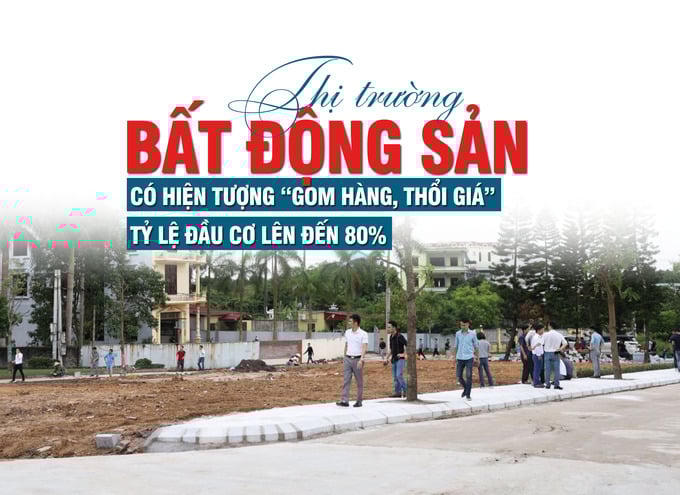 Chuyên gia: Thị trường bất động sản có hiện tượng “gom hàng, thổi giá”