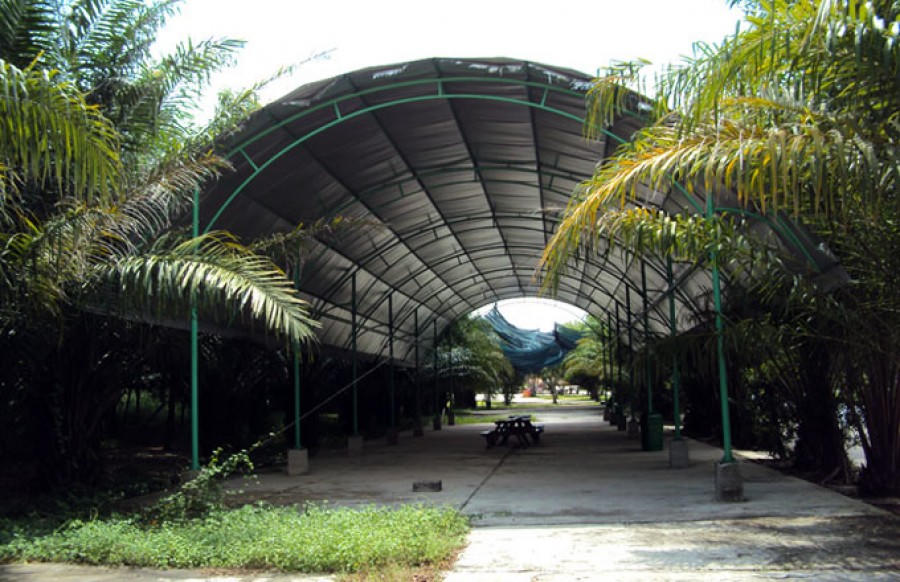 Ông Huỳnh Uy Dũng: “Kiếp sau tôi không dám làm doanh nghiệp!” ong-huynh-uy-dung-kiep-sau-toi-khong-dam-lam-doanh-nghiep-6