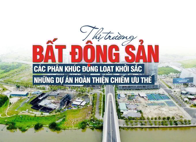 Thị trường bất động sản TP HCM và vùng phụ cận: Các phân khúc đồng loạt khởi sắc, những dự án hoàn thiện chiếm ưu thế