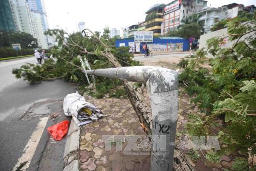 Hà Nội đã thiệt hại bao nhiêu sau cơn lốc tối ngày 13/6?