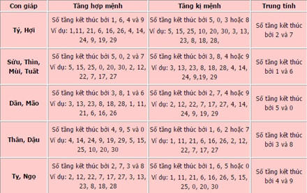 Miếng đất “chiến đấu”