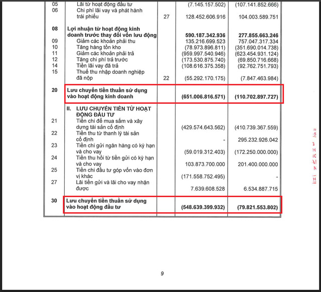 Dòng tiền liên tục âm của BAF.