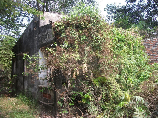 Dự án tỷ đô trên đất vàng TPHCM thành bãi gửi xe, nuôi gà