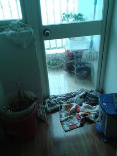 giông lốc, chung cư giá rẻ