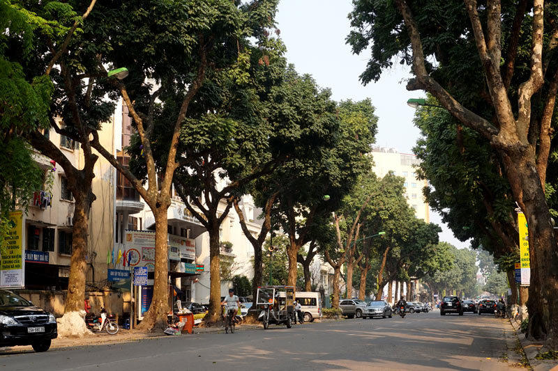 6.700 cây xanh; Hà Nội; chặt hạ