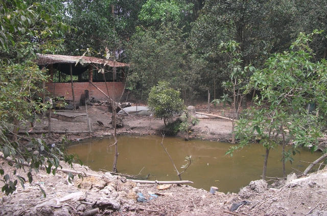 Dự án tỷ đô trên đất vàng TPHCM thành bãi gửi xe, nuôi gà