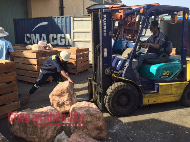 Tin chấn động: Phát hiện 1 tấn sừng tê giác, ngà voi 'cập cảng' Cát Tiên Sa của Việt Nam