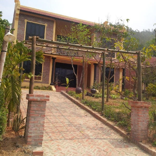 Thêm hàng loạt biệt thự không phép 'mọc' ở Ba Vì