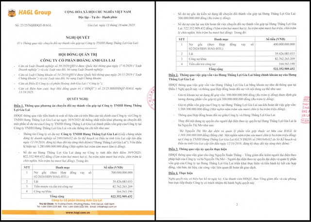 Nguồn: Hoàng Anh Gia Lai.