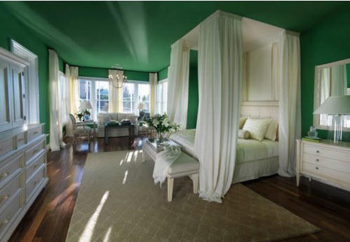 Tự hào vì trần nhà nổi bật