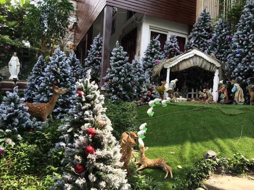 Mr.Đàm khoe vườn Giáng Sinh lung linh huyền ảo - 1