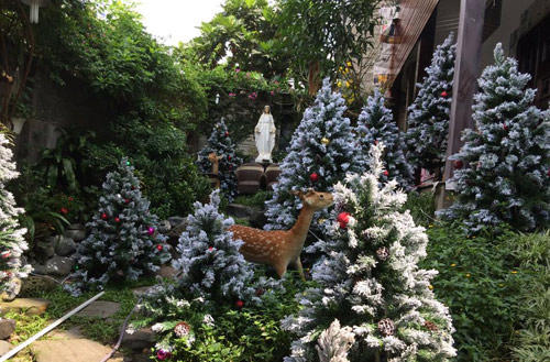 Mr.Đàm khoe vườn Giáng Sinh lung linh huyền ảo - 2