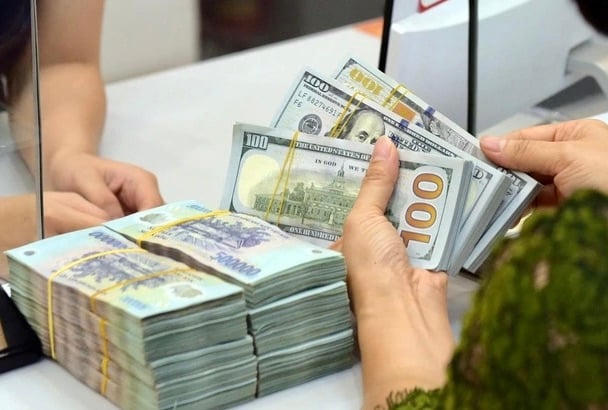 Giá USD chợ đen biến động mạnh, Ngân hàng Nhà nước đề nghị Bộ Công an, Thanh tra Chính phủ vào cuộc