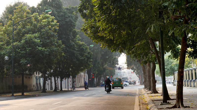 6.700 cây xanh; Hà Nội; chặt hạ