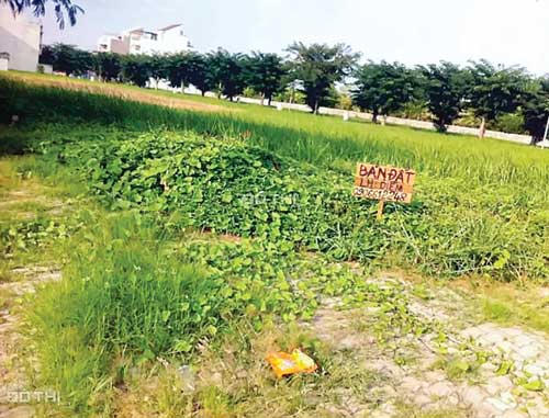 Khách hàng kiện Cotec đòi đất