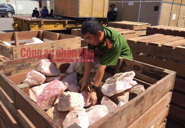 Tin chấn động: Phát hiện 1 tấn sừng tê giác, ngà voi 'cập cảng' Cát Tiên Sa của Việt Nam