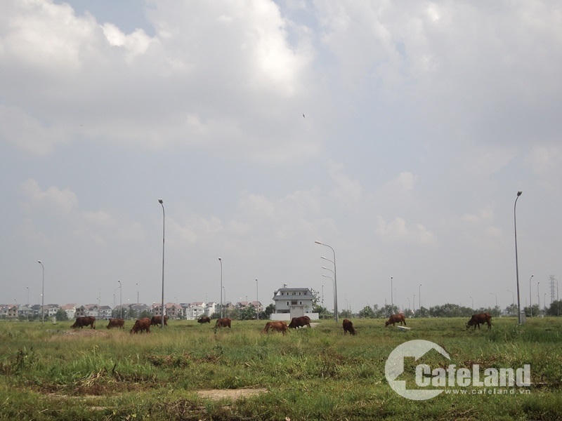 Đất nền quận 9: Mua xong để ở một mình