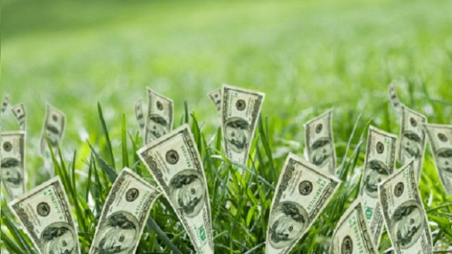 Hoa Sen Group sắp trả cổ tức tỷ lệ 75%