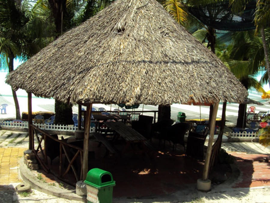 Ông Huỳnh Uy Dũng: “Kiếp sau tôi không dám làm doanh nghiệp!” ong-huynh-uy-dung-kiep-sau-toi-khong-dam-lam-doanh-nghiep-5