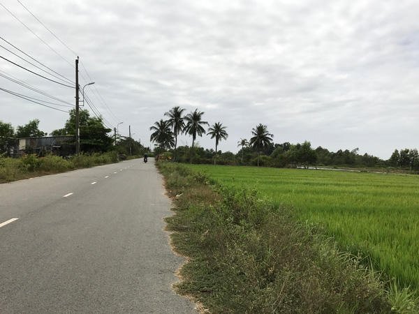 Tập đoàn SSG hợp tác THM Land phân phối dự án Mỹ Đình Pearl