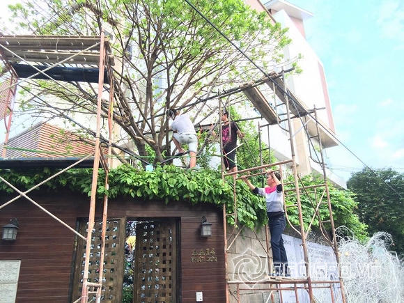 Đàm Vĩnh Hưng trang trí Noel hoành tráng cho biệt thự triệu đô 