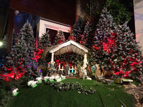 Mr.Đàm khoe vườn Giáng Sinh lung linh huyền ảo - 5