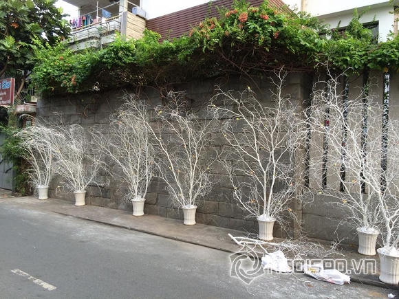 Đàm Vĩnh Hưng trang trí Noel hoành tráng cho biệt thự triệu đô 