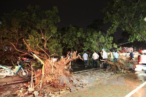 Hà Nội đã thiệt hại bao nhiêu sau cơn lốc tối ngày 13/6?