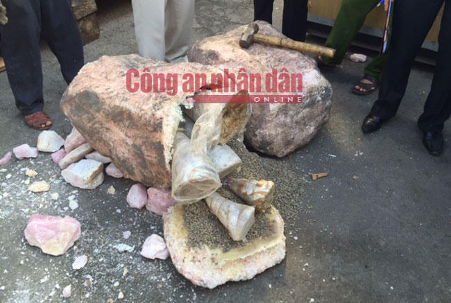 Tin chấn động: Phát hiện 1 tấn sừng tê giác, ngà voi 'cập cảng' Cát Tiên Sa của Việt Nam