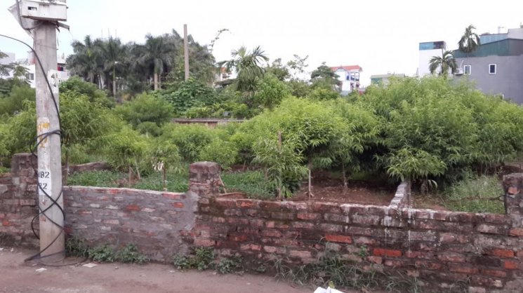 Mua đất nền 13 năm, chưa được giao đất còn bị "vòi" thêm tiền