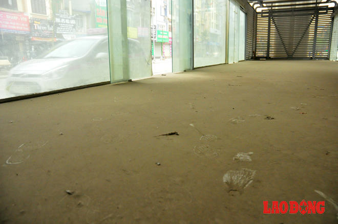 Cận cảnh sự “nham nhở” của dự án xe buýt nhanh hiện đại nhất thủ đô