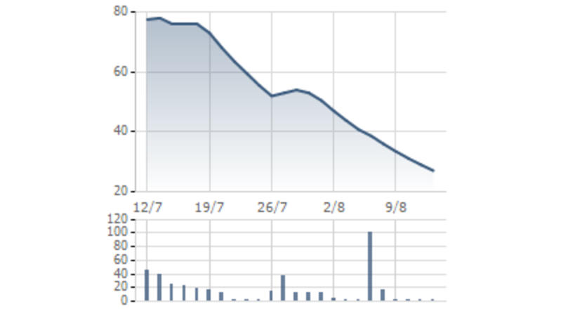 Cổ phiếu mất 65% giá trị chỉ trong vòng 1 tháng, Căn nhà Mơ Ước sắp họp ĐHCĐ bất thường