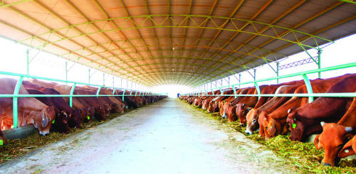 Lịch chốt quyền nhận cổ tức bằng tiền của 10 DN 