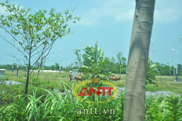 Hoang tàn Phượng Hoàng, khu đô thị lớn nhất Móng Cái 